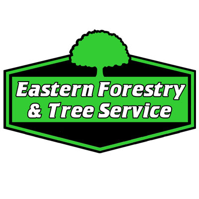 Eastern Forestry Tree Services
